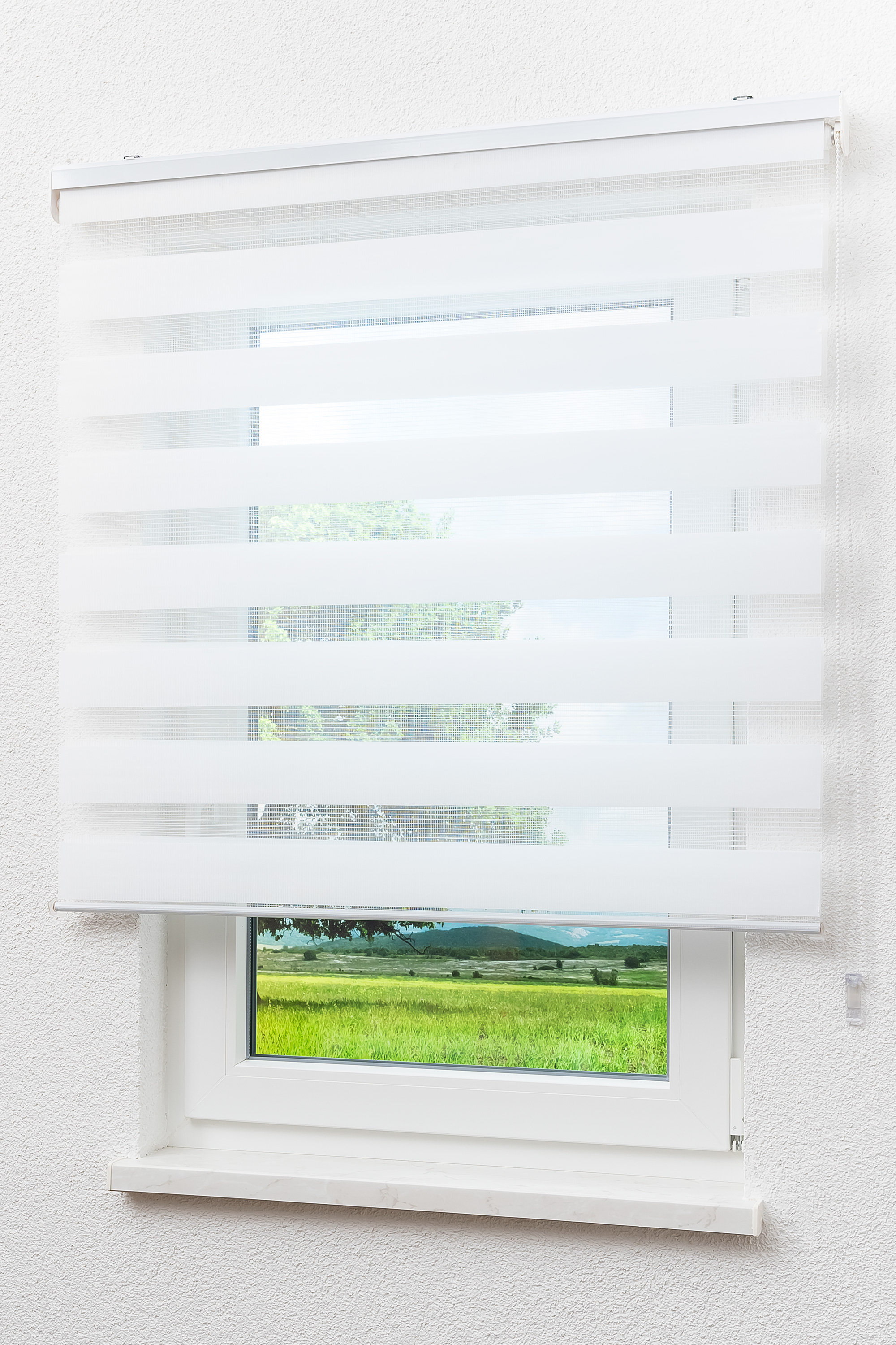 Blende Solid Fenster blickdicht | eBay Duo Tür Rollo mit Lysel Doppelrollo Outlet